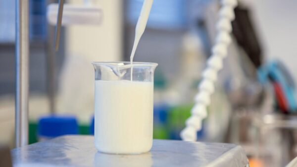 Biotech firms try to make milk with out cows