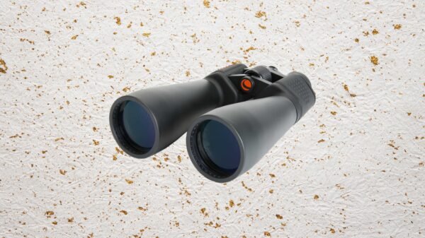 Finest Binoculars (2024): Nikon, Celestron, Swarovski, Zeiss