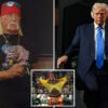 WWE legend Hulk Hogan to talk at RNC earlier than Trump accepts GOP nomination