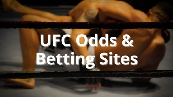 Finest UFC Odds, Betting Websites & Promos for August 2024