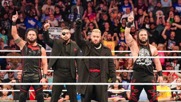 The Bloodline Beat DIY to Win WWE Tag Staff Titles Earlier than SummerSlam 2024