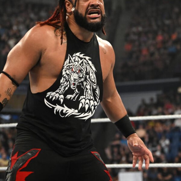 Jacob Fatu Harm Replace: WWE Rumors on Hardy Boyz and Seth Rollins in Punk-McIntyre