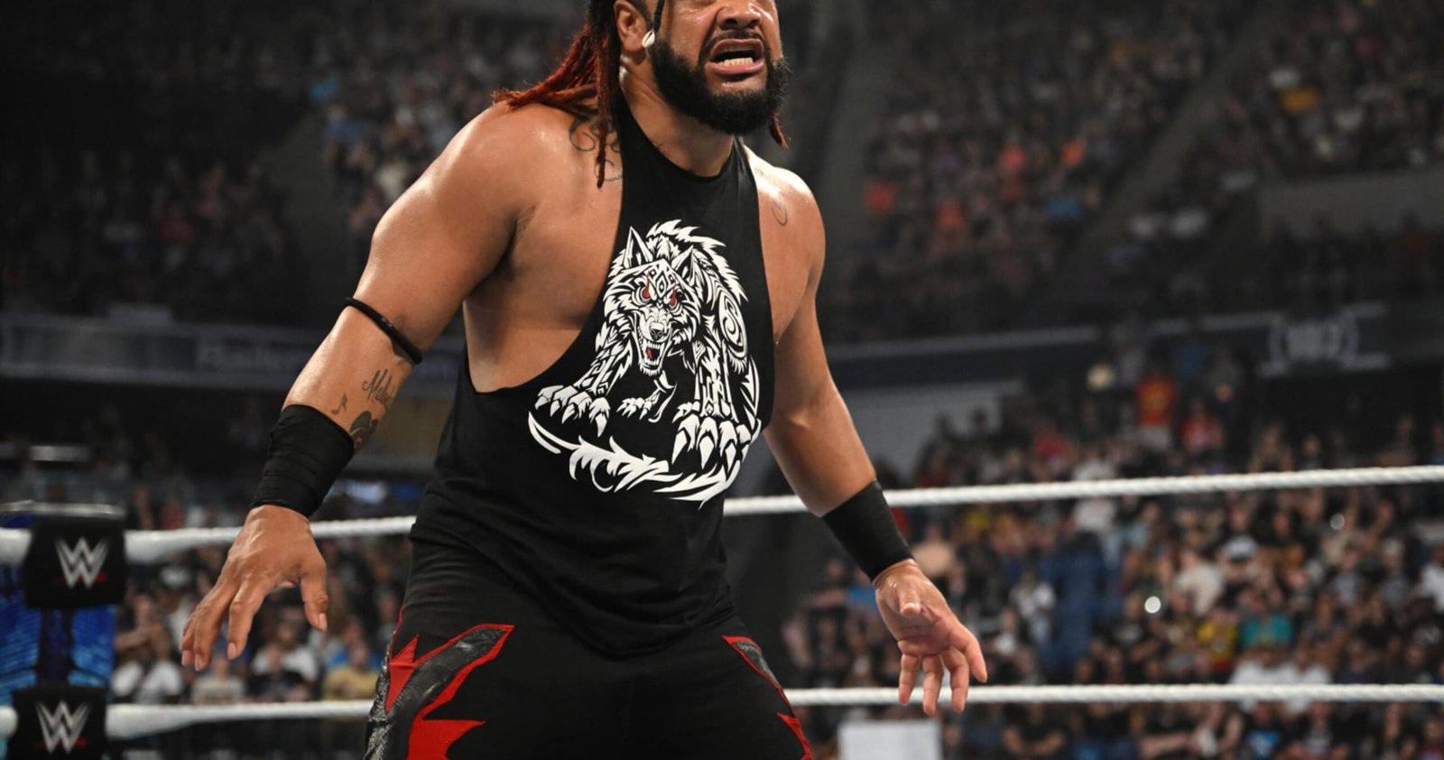 Jacob Fatu Harm Replace: WWE Rumors on Hardy Boyz and Seth Rollins in Punk-McIntyre