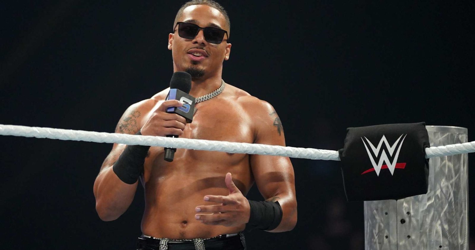 Carmelo Hayes, Pete Dunne and Stars Who Would Be Extra Profitable Outdoors WWE