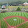 Learn how to watch Little League baseball regionals: Reside stream, TV channel