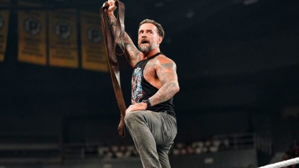 WWE Bash In Berlin 2024: CM Punk Profitable And 5 Good Reserving Choices