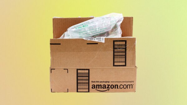 Amazon’s inflatable plastic pillows are formally a factor of the previous