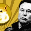 Elon Musk Spicing Up Dogecoin Rally, Will DOGE Momentum Proceed?