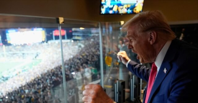 WATCH: Fan with Professional-Trump Signal Runs onto the Area Throughout Sunday Night time Soccer