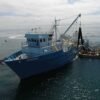 Menhaden fishing firm requests elevated buffer for future offshore wind initiatives