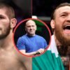 What Khabib Nurmagomedov actually stated to Dana White after the UFC President refused to place the belt on him after Conor McGregor brawl