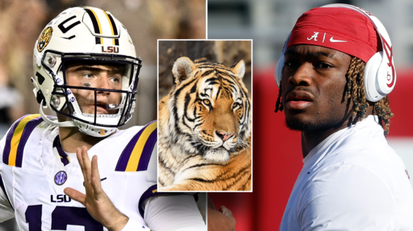 LSU might have reside tiger on sideline vs Alabama: experiences