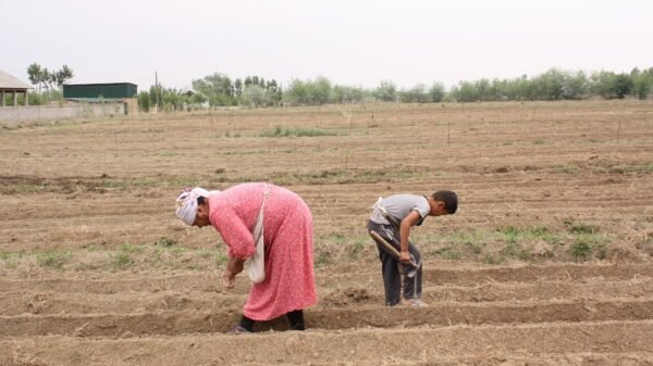 Kyrgyzstan: migrant ladies employees and a ‘misplaced technology’ of kids