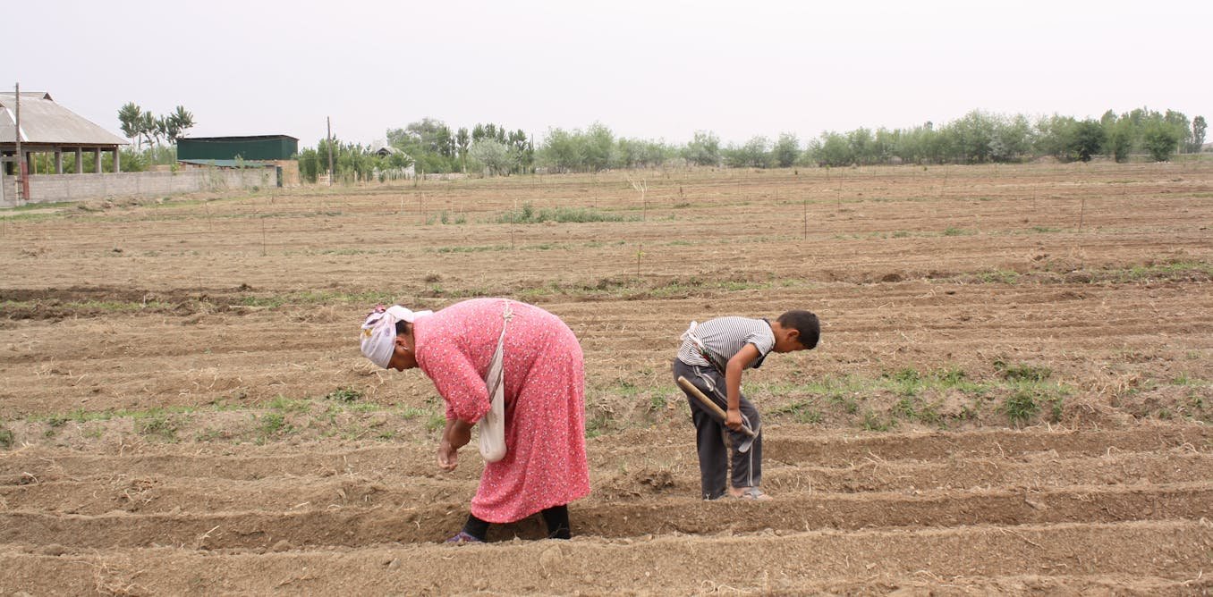 Kyrgyzstan: migrant ladies employees and a ‘misplaced technology’ of kids