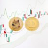 Dogecoin Eyes Main Breakout Amid Musk’s Rising Affect in Washington