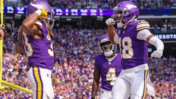 The 8 Causes Why You Ought to Take the Undefeated Vikings Critically