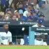 Video of Manny Machado’s throw to Dodgers dugout that Dave Roberts known as ‘unsettling’ had MLB followers so confused