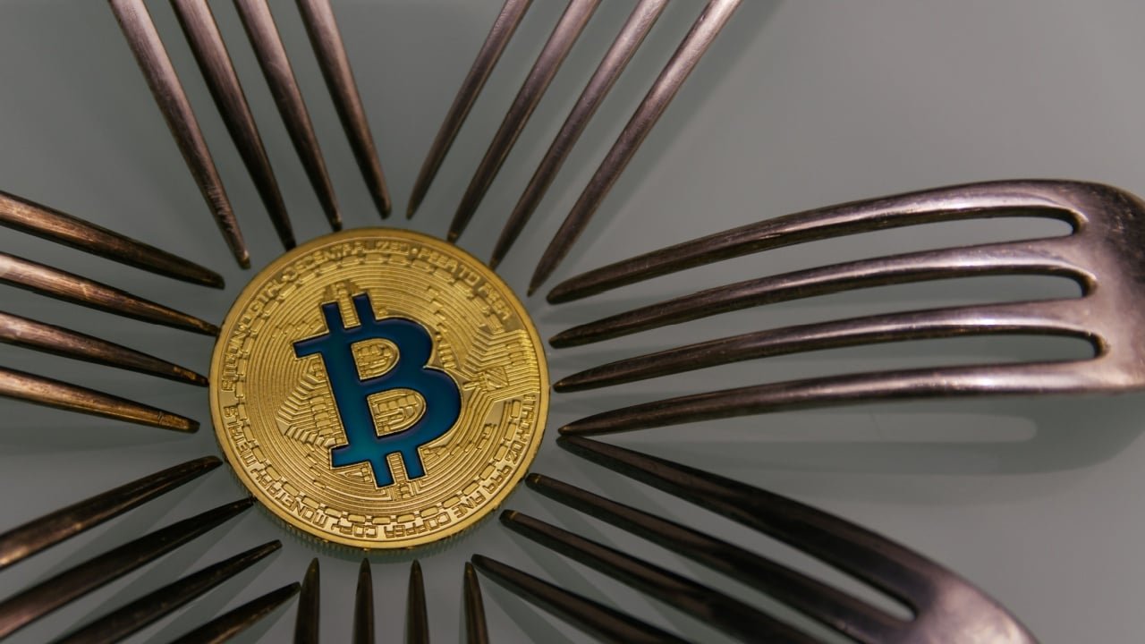 Cobra Warns of a New Bitcoin Mushy Fork Subsequent 12 months