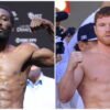 Calls Mount Towards Canelo Alvarez as Struggle Studies Forces Terence Crawford’s Followers to Face Harsh Actuality