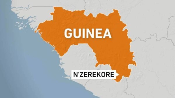 Dozens feared lifeless after stampede breaks out at Guinea soccer match