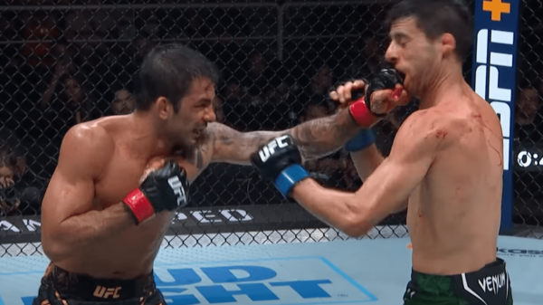 Watch: Free Combat — Alexandre Pantoja vs. Steve Erceg