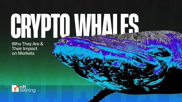 Understanding Crypto Whales: Who They Are and Their Affect on Markets