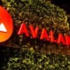 Avalanche secures $250M in funding spherical led by Galaxy Digital, Dragonfly, and ParaFi Capital