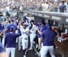 Snakes and batters: reptile slithers into LA Dodgers’ dugout throughout MLB sport