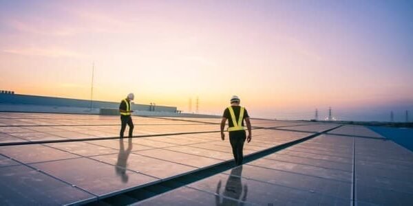 U.S. Photo voltaic Energy Soared in 2024