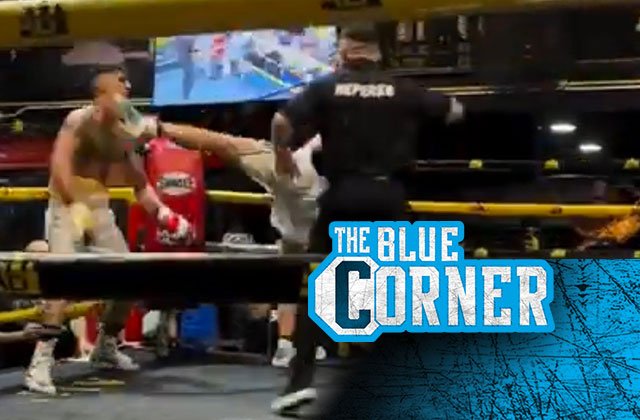 Not cool: MMA fighter ends boxing match with vicious head-kick KO, brags about despicable transfer