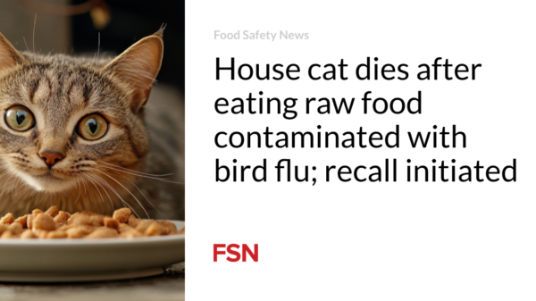 Home cat dies after consuming uncooked meals contaminated with fowl flu; recall initiated