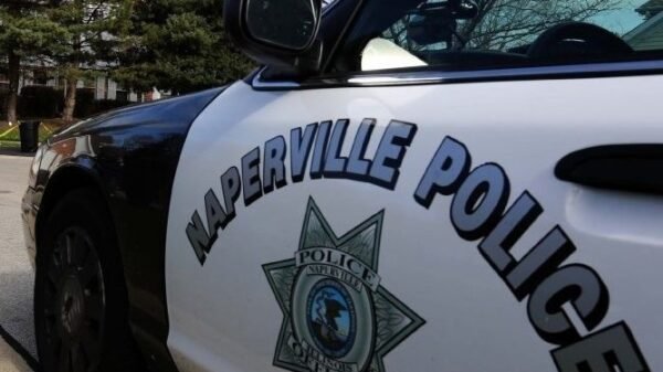 Naperville man charged with killing household canine, threatening to kill stepdaughters