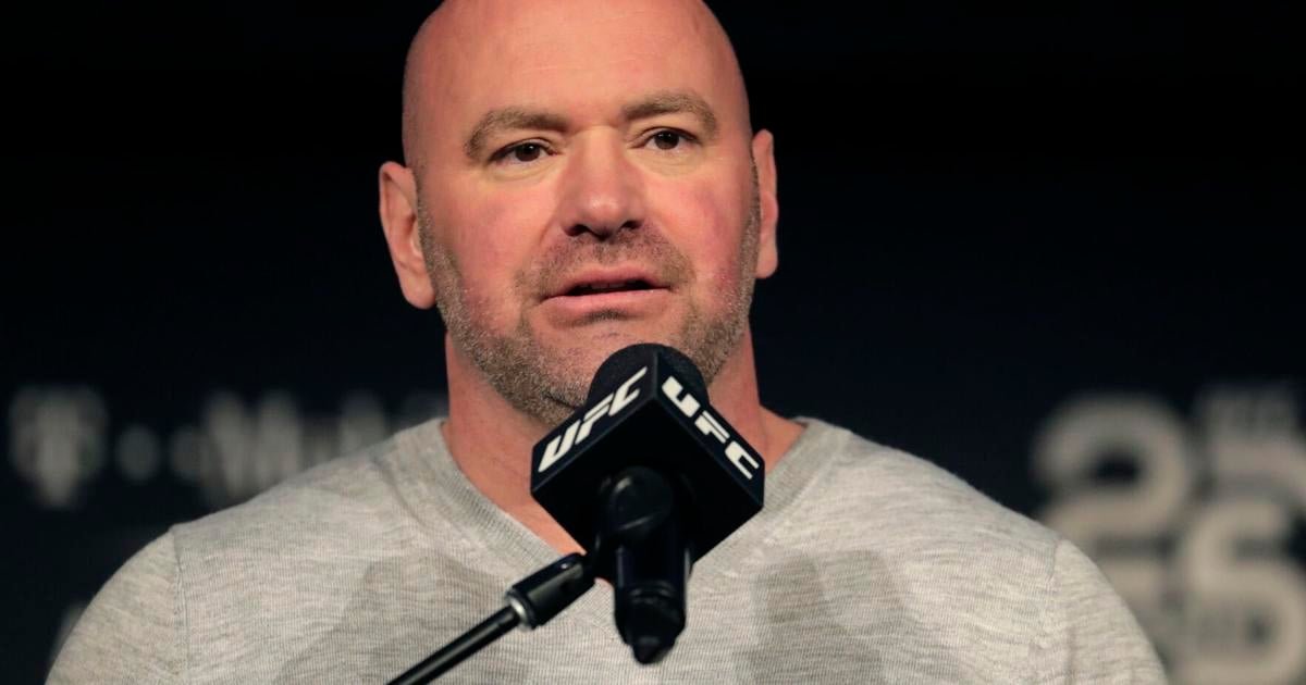 Meta’s new board contains UFC boss Dana White, a well-known determine in Trump’s orbit