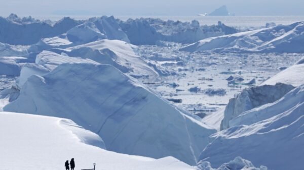 The true hazard of Trump’s Greenland gambit