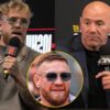 Conor McGregor Snubs UFC in Major Career Decision Setting Up Dana White vs. Jake Paul War