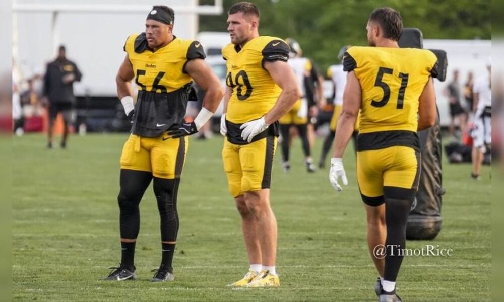 Pittsburgh’s Pass Rushers – What Do The Stats Say?