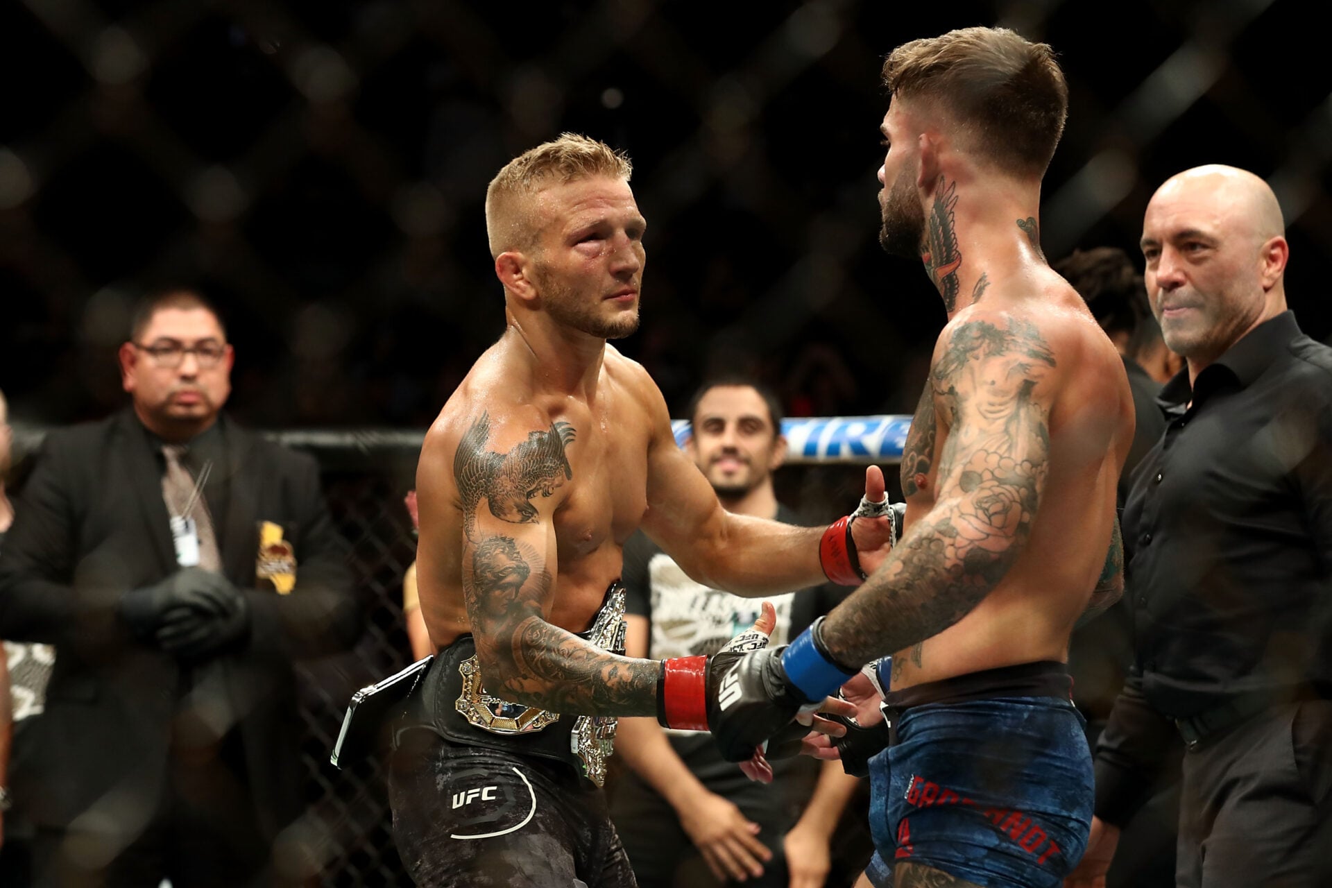 TJ Dillashaw says rival Cody Garbrandt’s UFC 329 KO loss is ‘depressing’ due to how good he could be