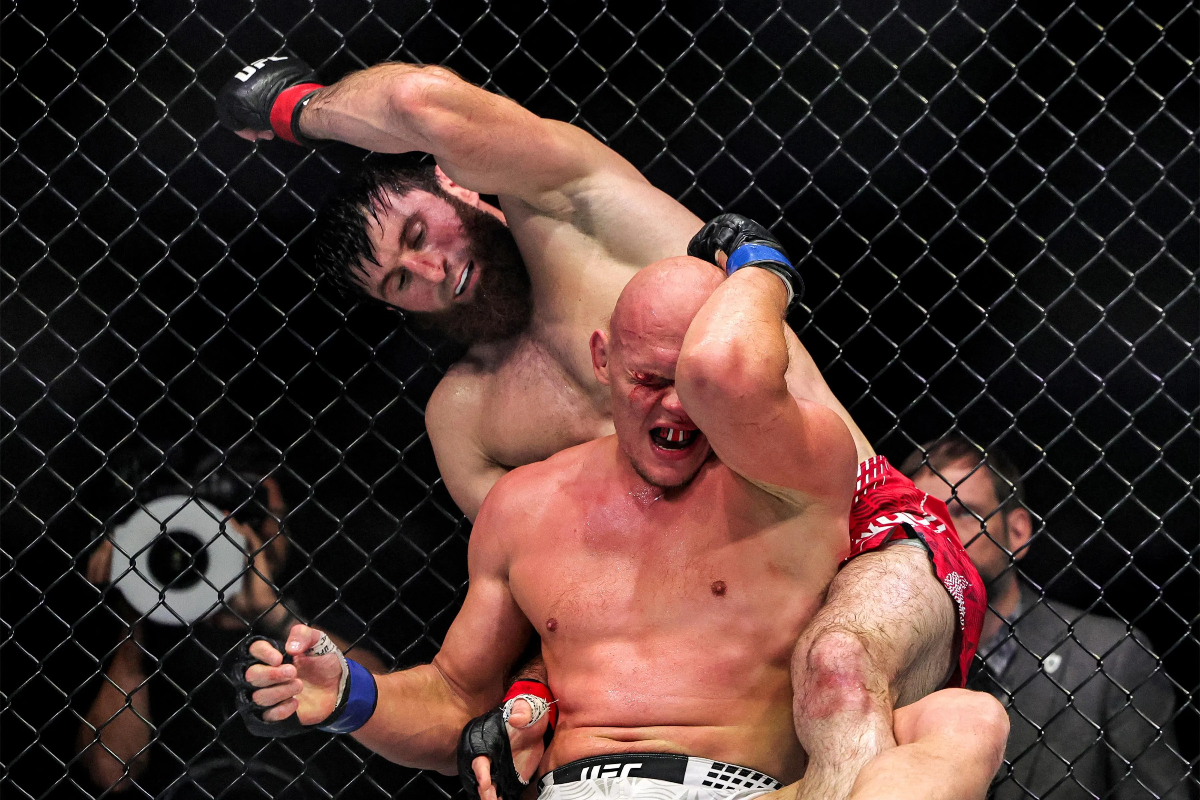 What’s next for Magomed Ankalaev and Bogdan Guskov after UFC Abu Dhabi?