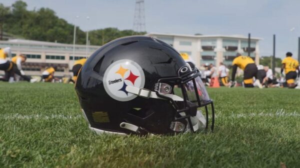 Steelers Waive Just-Claimed WR Colton Dowell