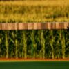 Netflix risks alienating Field of Dreams Game audience after MLB Opening Day issues