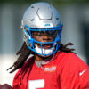 Lions quickly find replacement for Teddy Bridgewater with QB signing