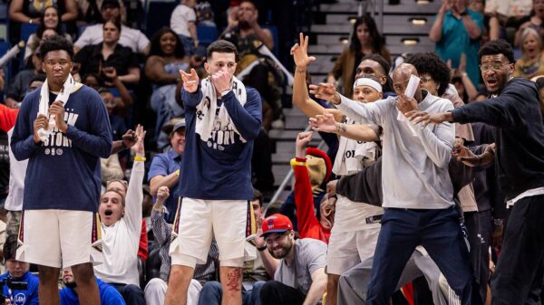 Most Important Reserve on the Pelicans Next Season