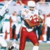 Ex-NFL RB LeShon Johnson sentenced to 5 years for dog fighting