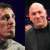 Tom Aspinall might be forced to relinquish UFC title amid Dana White’s status update: “We’ll definitely be talking about that”