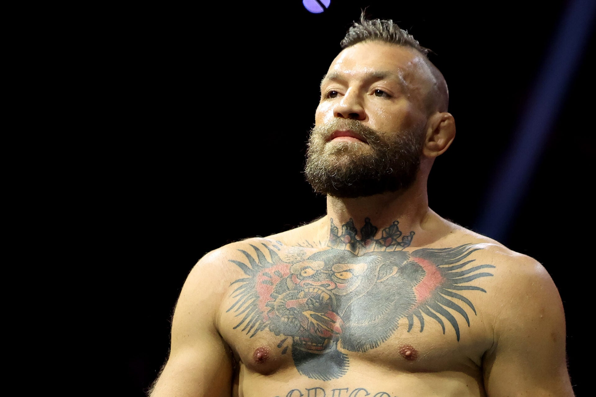 Conor McGregor makes ‘mega announcement’: UFC legend holds a goat as he debuts on TikTok