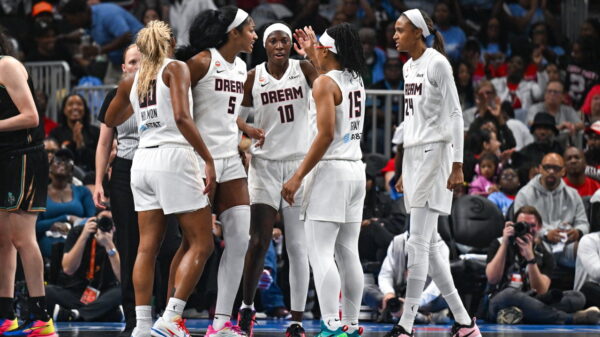 WNBA Fans Had Plenty to Say After Atlanta Dream Headline the Finals for the Wrong Reasons