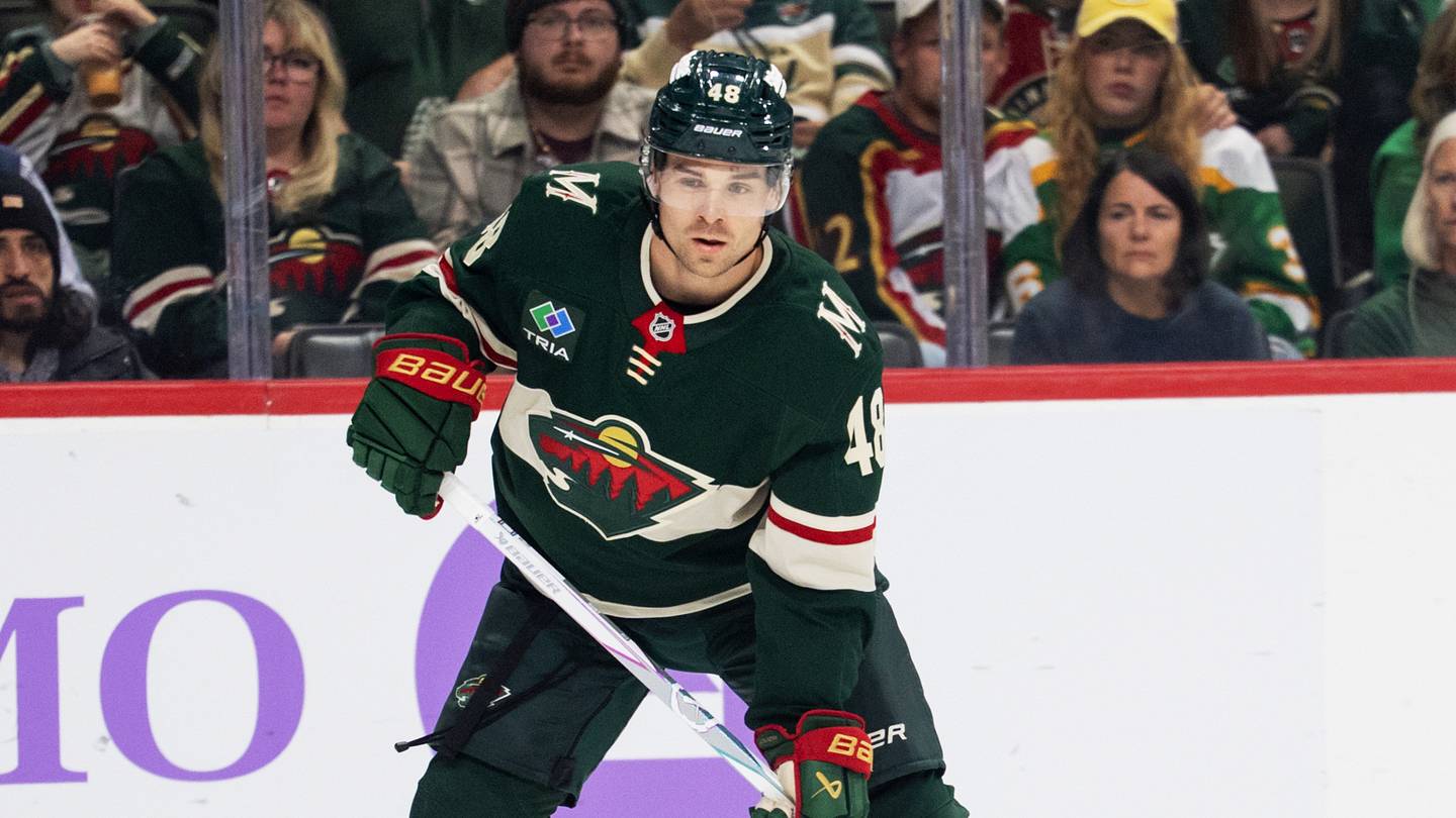 Nashville Claims Minnesota Wild Defenseman, Waives Jack Ahcan