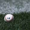 MLB Hits a Massive $2.12B Financial Milestone With Record Sponsorship Revenue